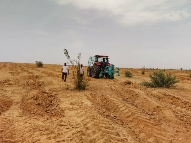 Northern Nigeria: Where are the trees?