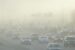 Smog in one of the world's cities, cause of air pollution