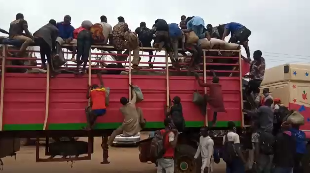 trucks carrying livestock, human passengers together
