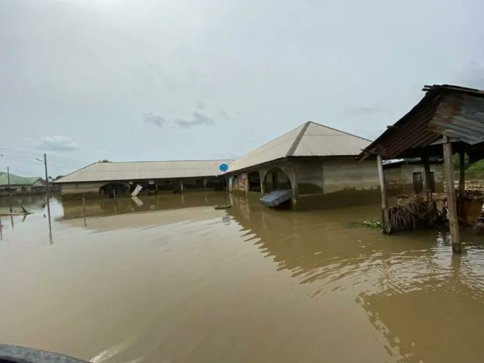 20 Dead, 2,000 displaced as devastating flood hits Yobe