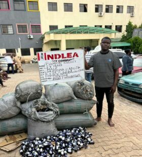 27-year-old man Kingsley Chimaobi: caught with 6,000 bottles of codeine-based syrup in Lokogoma area of FCT by NDLEA operatives