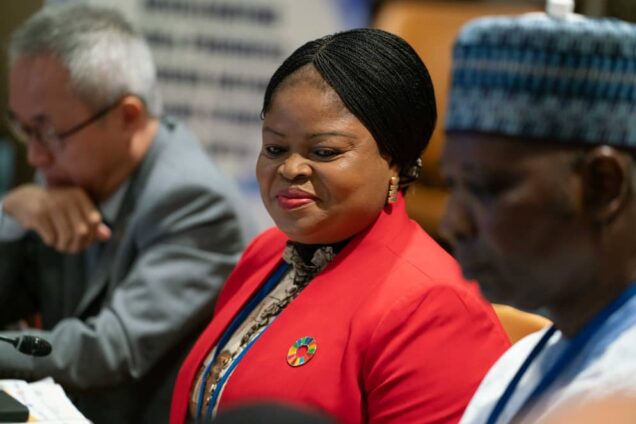 Orelope- Adefulire at the High-Level Event  to Accelerate SDGs Progress Through National Financing Strategies and INFFs  At the 78th Session of the United Nations General Assembly (UNGA),