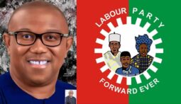 Labour Party and Peter Obi
