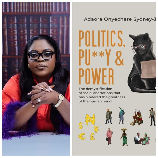 Popular broadcast journalist, Adaora Onyechere Sydney-Jack, releaseS new book, with an intriguing title, 'Politics Pussy & Power