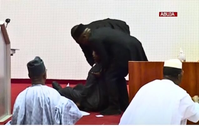 Balarabe Abbas Lawal on the floor of the senate. Photo by Channels TV