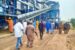 Dangote Sugar Refinery (DSR) employs no less than 7,000 workers yearly in its Numan, Adamawa, State Backward Integration Project (BIP).