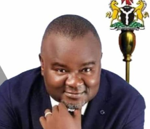 Destiny Enabulele: PDP lawmaker sacked by Tribunal