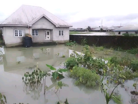 Flood victims in communities in Oyigbo LG of Rivers lament loss of their homes, properties and disruption in their children's education