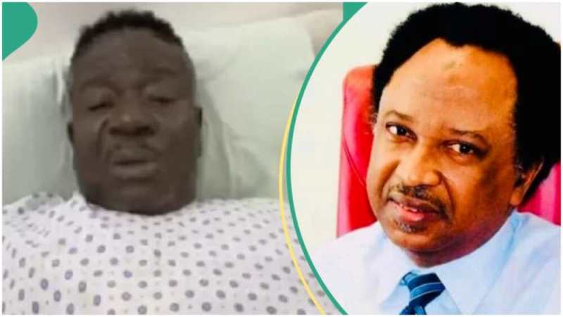 Shehu Sani says he will help Mr. Ibu