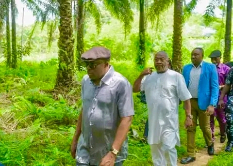 Gov. Siminalayi Fubara to revamp Songhai Integrated Farm project by ex- governor Rotimi Amaechi, but abandoned by Wike's administration.