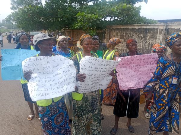 Fish sellers in Ogun appeal to government to save their businesses from collapse following incessant increase in the price of the commodity