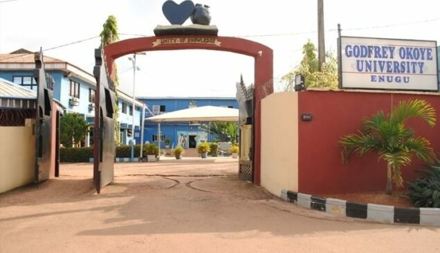 Godfrey Okoye University 1