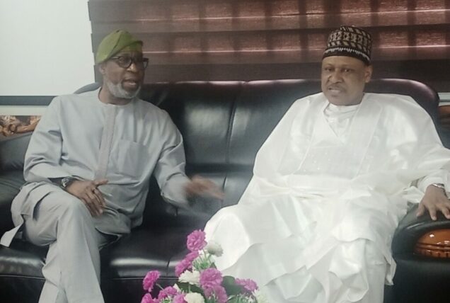 Minister of Information and National Orientation, Alhaji Mohammed Idris, and his counterpart from the Solid Minerals Ministry on Thursday in Abuja. Photo credit: Collins Yakubu-Hammer