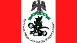 NDLEA logo