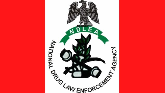 NDLEA logo