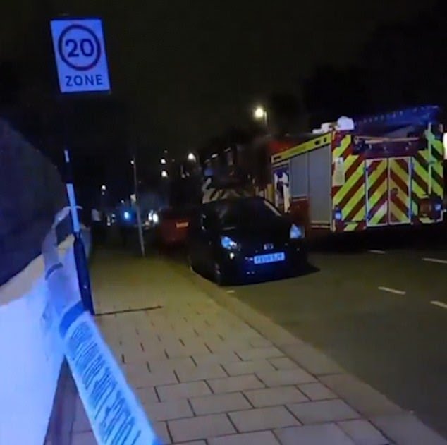 A British mother, her two children and seven others were rushed to hospital on after they were bathed with acid in South London.