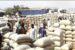 Traders at Dawanau International Grains Market in Kano State denies allegations of hoarding, manipulation of prices of commodities