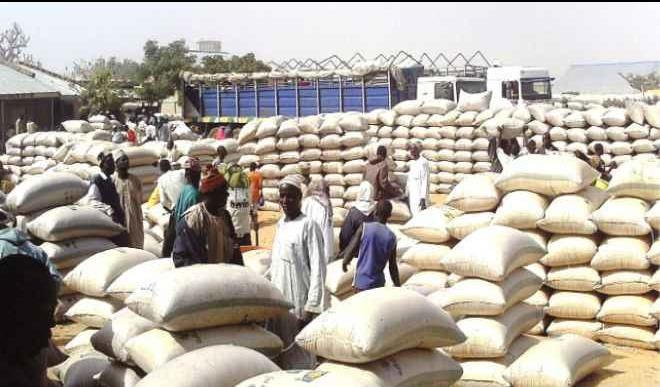 Traders at Dawanau International Grains Market in Kano State denies allegations of hoarding, manipulation of prices of commodities