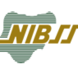 NIBSS logo