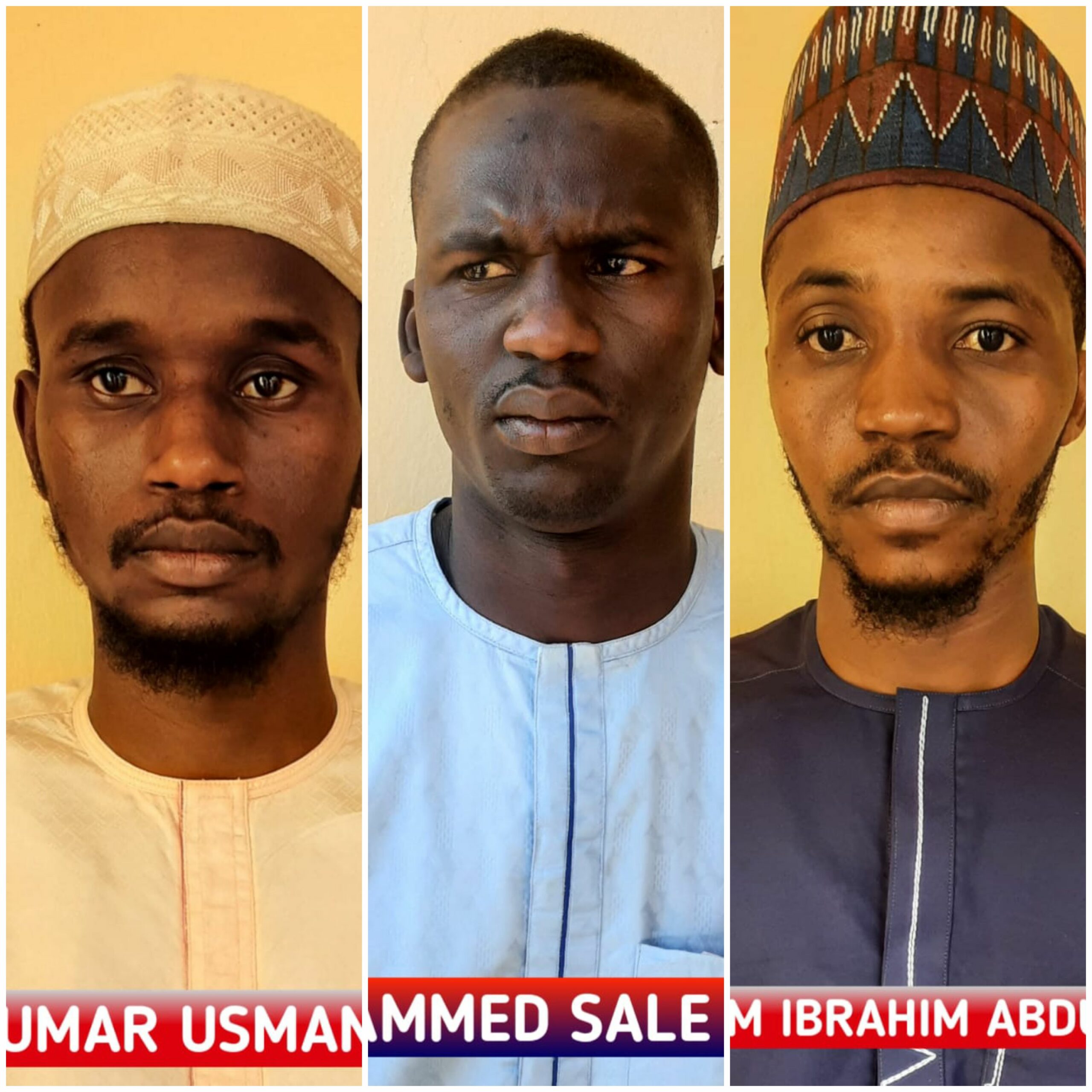 Court jails three Gombe men -Ibrahim Abdullahi Umar Usman Mohammed and Sala Soja docked by EFCC for employment fraud, cheating