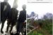 A Commander of a vigilante group in Rivers identified as Ododo Kingsley Obubochi and three members of his executive have been arrested by the police for involvement in the dismantling and sale of a mast belonging to Globacom, located on a secluded road in Elele area of Ikwerre local government area of the state.