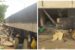 Lagos under bridge where tenants paid N250,000 rent annually uncovered