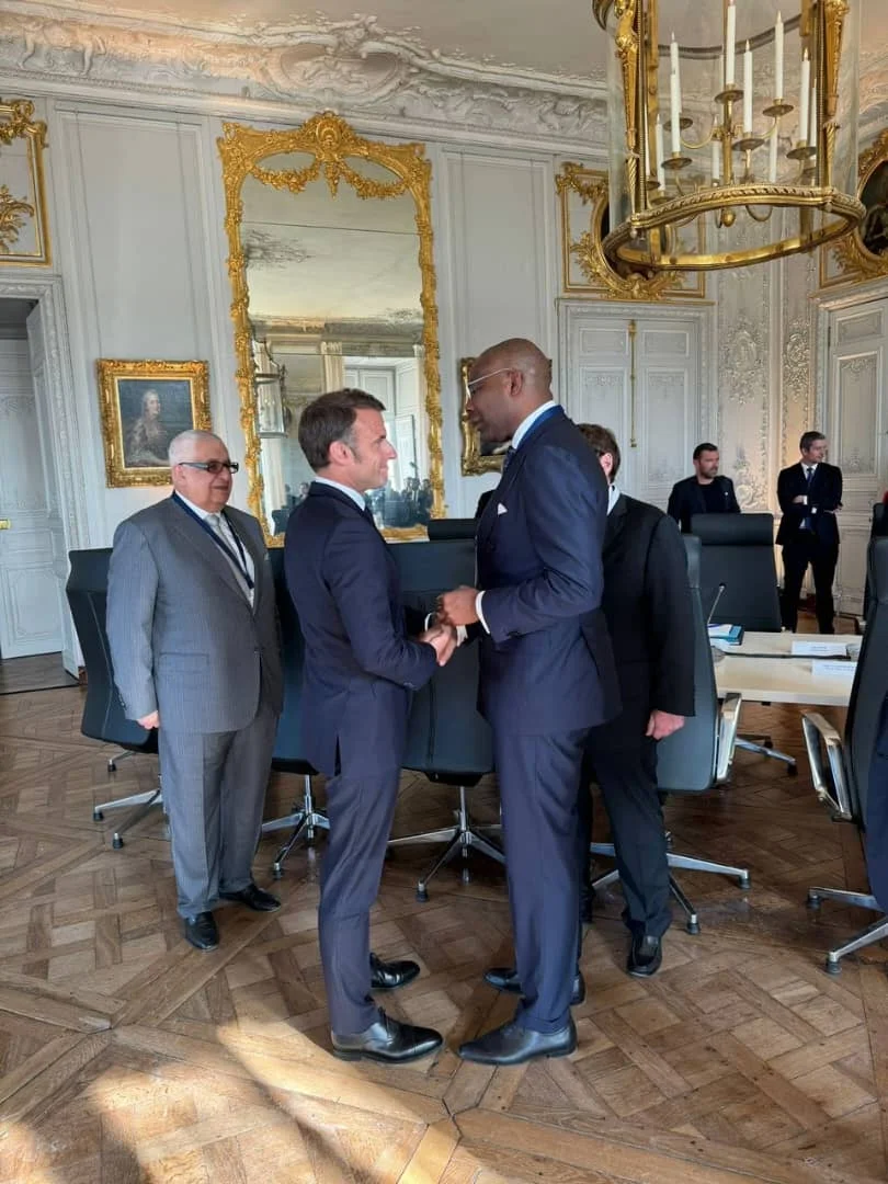 Macro appoints Aig-Imoukhuede President of France Nigeria Business Council