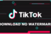 There's a solution for iPhone users who want to download TikTok videos without the watermark and that solution is: Ssstiktok.