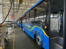 CNG buses