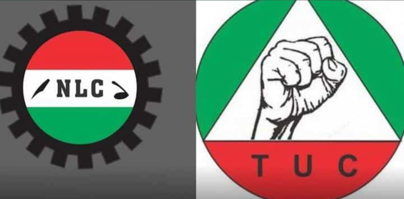 NLC, TUC plan solidarity rally to support striking FCDA, FCT workers