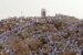 Nigerian pilgrims converge at plain of Arafat for hajj rite