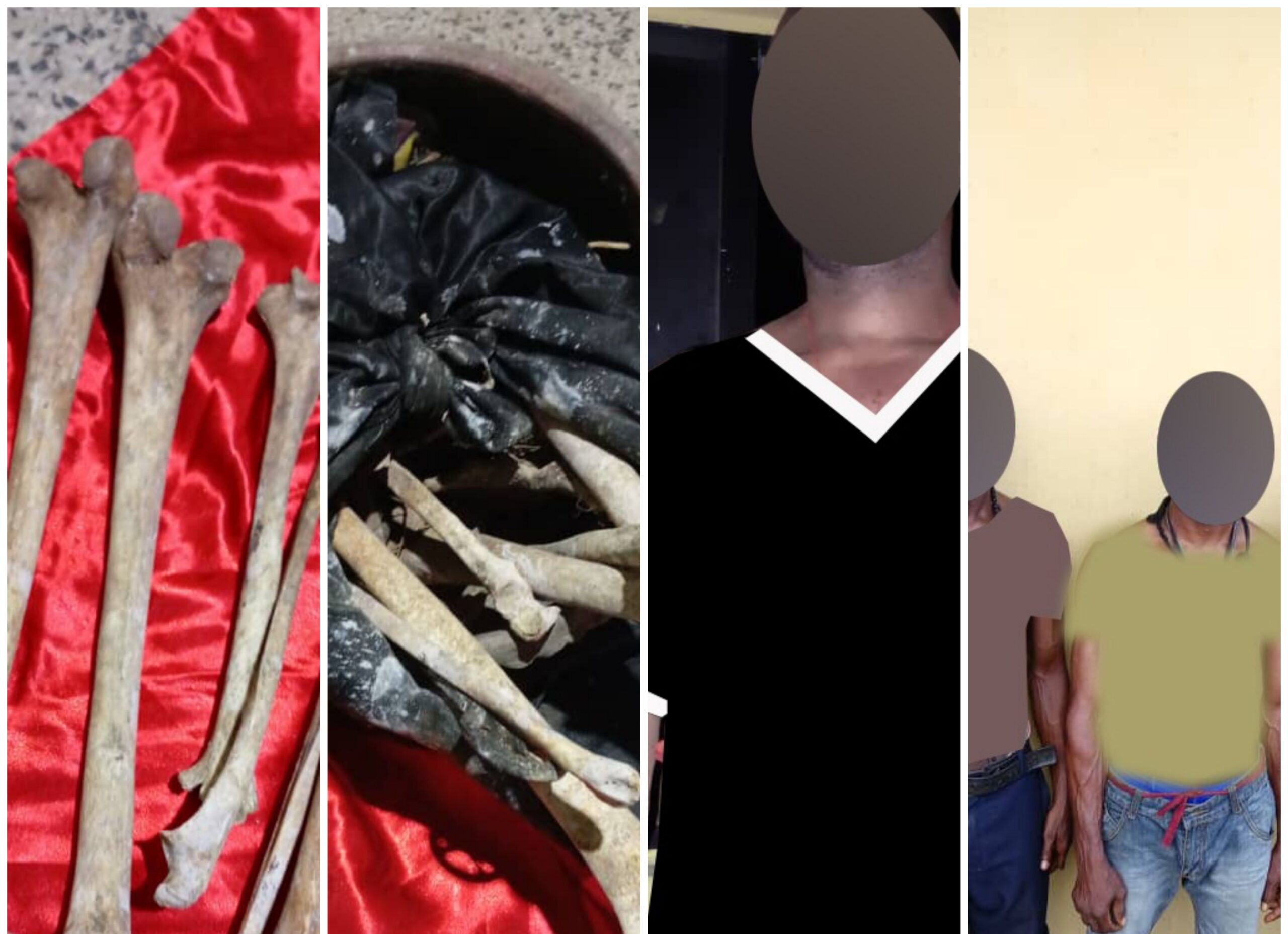 Police nab Felix Nwaobakata, a vigilante leader in ONELGA area of Rivers for being in possession of human remains, kidnapping and murder.