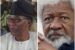 Otunba Gbenga Daniel, ex-governor of Ogun State, recounts encounter with Prof. Wole Soyinka at his Ijegba residence, in Abeokuta.