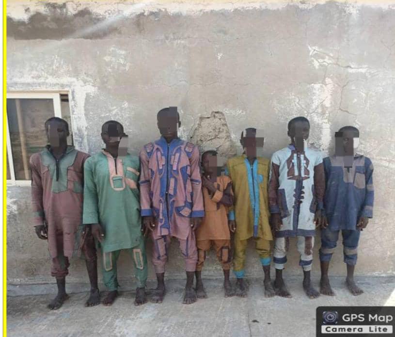 263 Boko Haram terrorists surrender to MNJTF