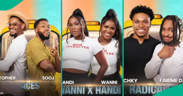 BBNaija unveils 14 paired contestants for season 9