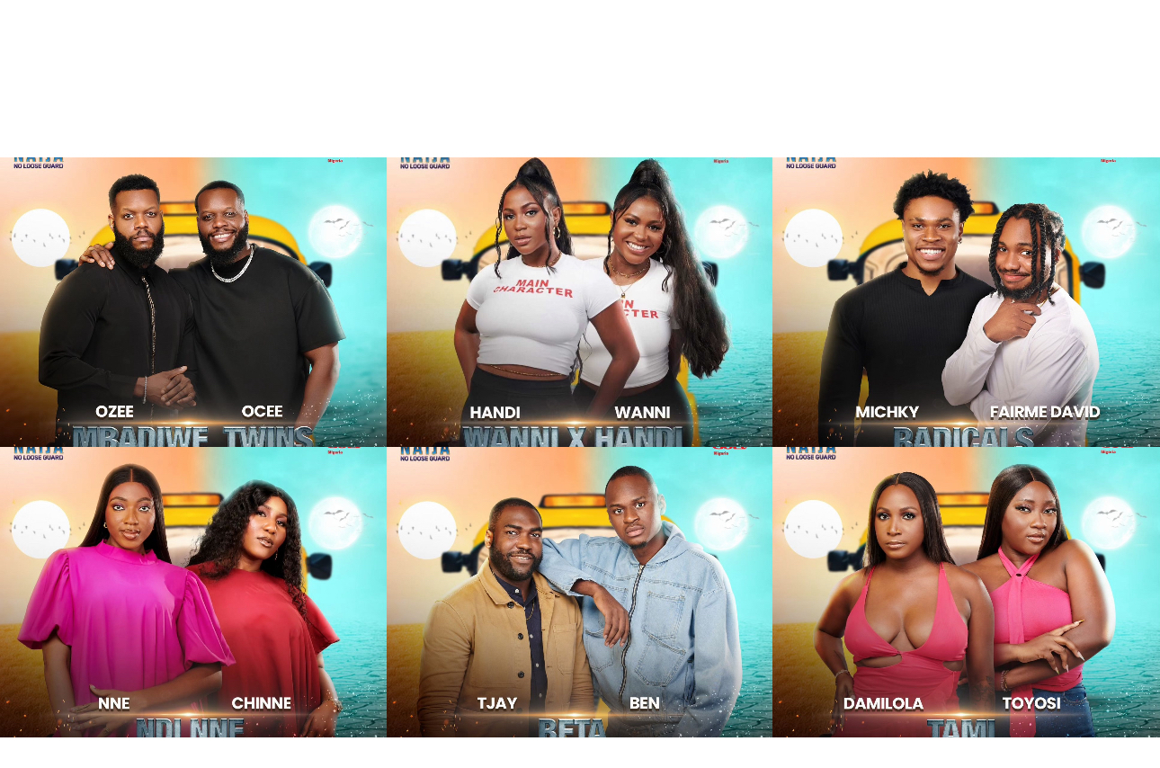 Meet BBNaija season 9 paired housemates