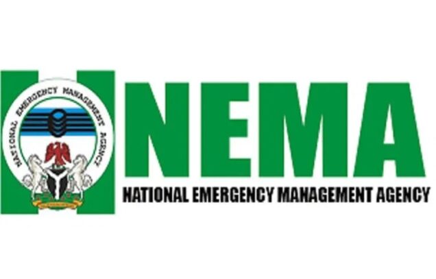 Flood: NEMA distributes relief materials to 198 households in Kano - P ...