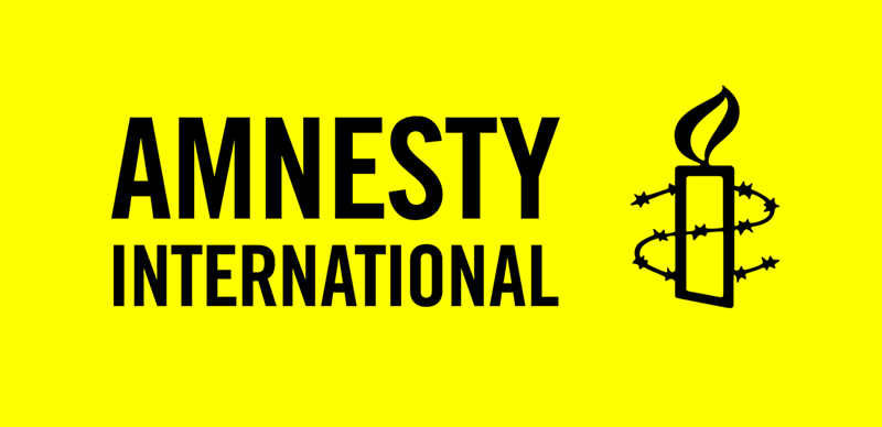 Northern youths accuse Amnesty International of inciting chaos
