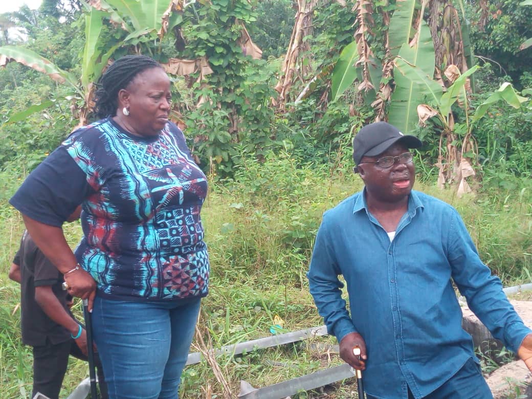 Bayelsa Govt condemns says recent destruction of electricity towers in the state is an attack on the social, economic wellbeing of residents