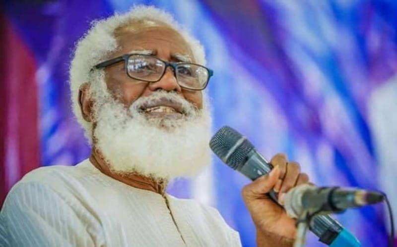 Why passport fee hike won’t stop japa – Ex-envoy, Farounbi