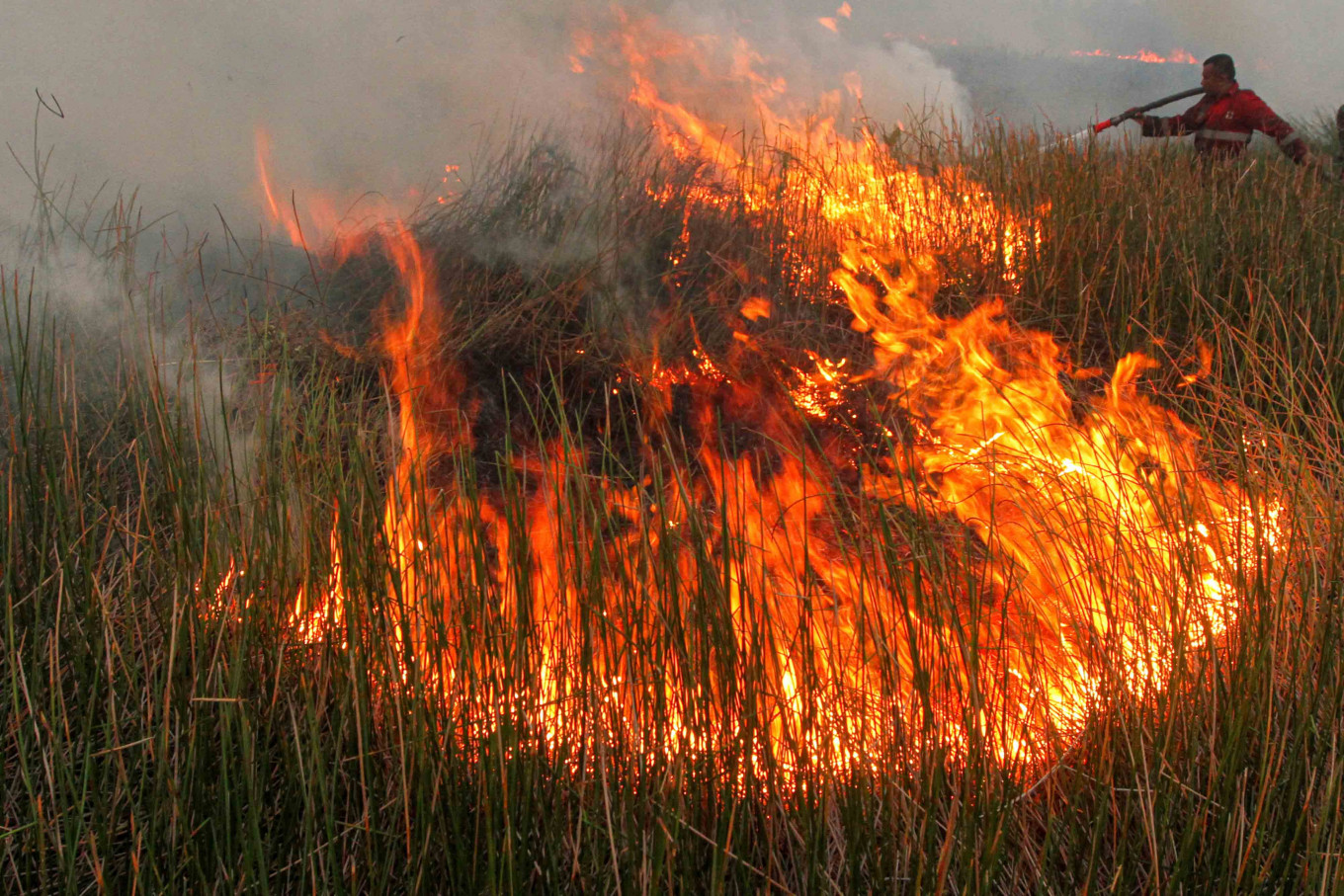 Indonesia bersiap hadapi kebakaran hutan yang mengkhawatirkan