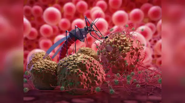 Malaria prevalence dropped by 22% in Nigeria - Expert