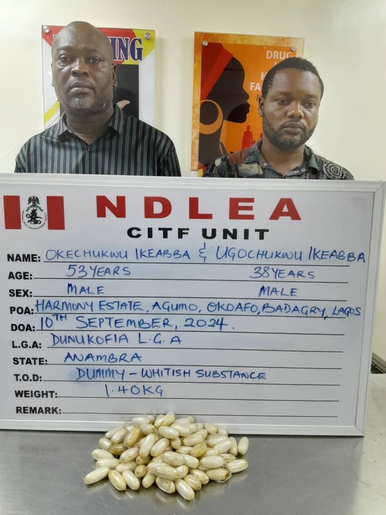 Nigerian drug lords smashed by NDLEA: 87 Cocaine dummies seized in training operation