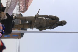 IMG_8831-1