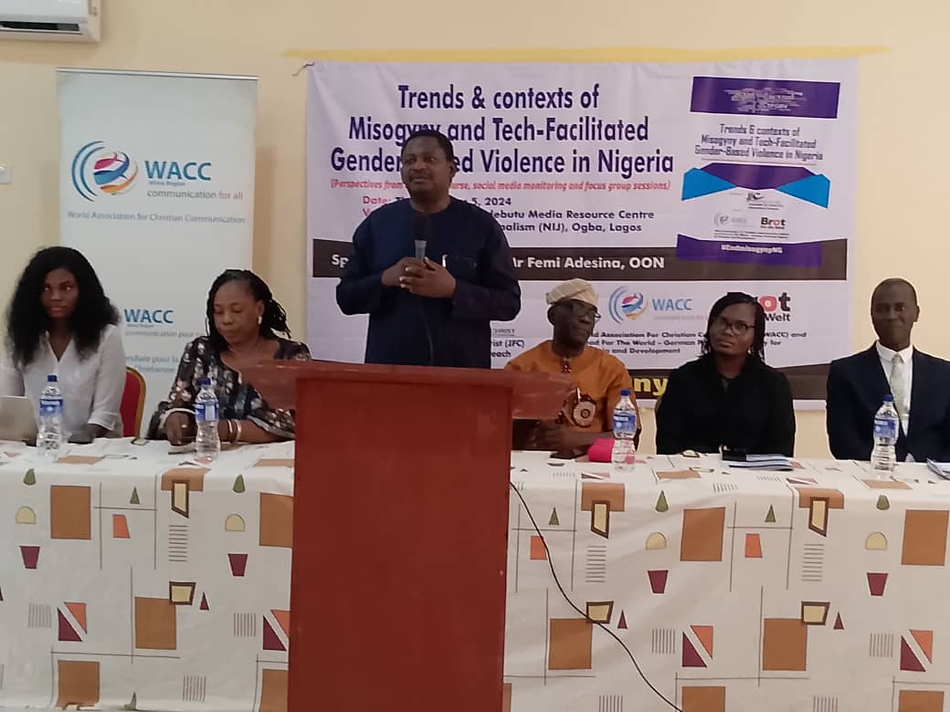 FEMI ADESINA URGES NIGERIANS TO COMBAT MISOGYNY AND GENDER-BASED VIOLENCE