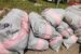 Operatives of Western Marine Command of Nigeria Customs intercept 15 sacks of 538 kilograms of cannabis sativa, valued at N107.2 m