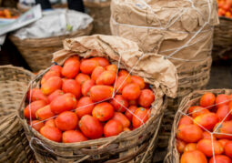tomatoes-grade-B-600×420