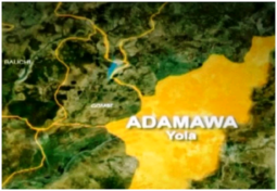 Adamawa-map