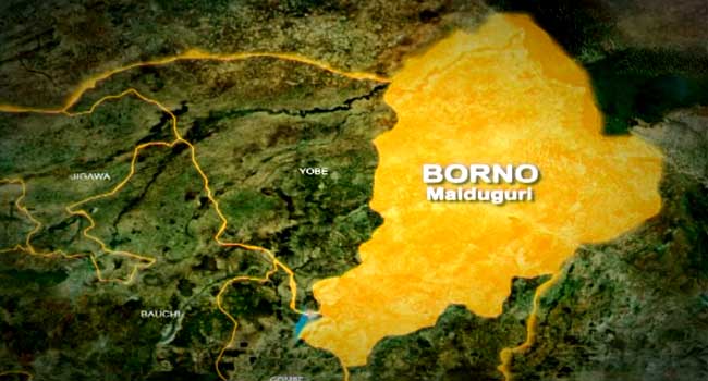 Military hits Boko Haram hard, kills 24 in Borno