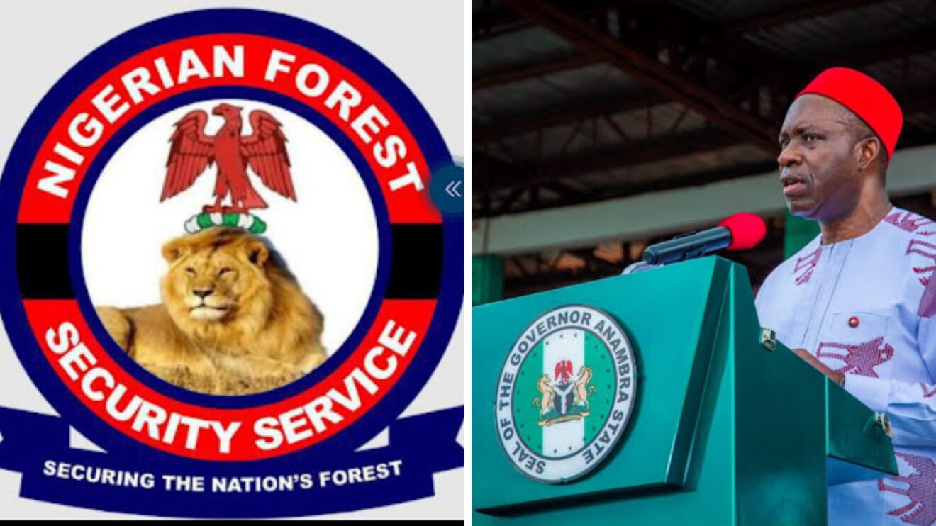 NFSS offers its expertise to rid forests in Anambra of gunmen and other criminals responsible for killings and kidnappings in the state.